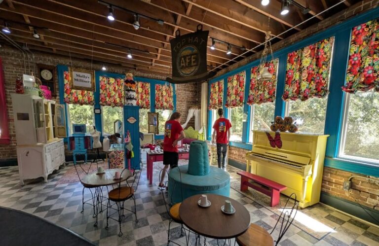 Lynn Meadows Discovery Center - ratio